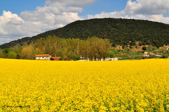 Colors Diferents.