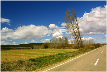 CAMINOS VERDES