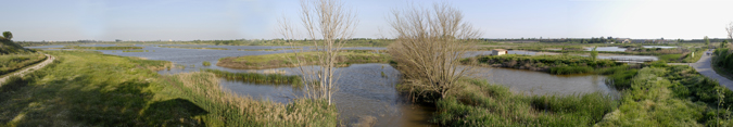 estany d'ivars-vilasana