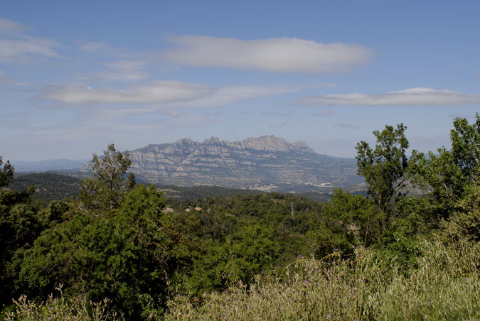 montserrat dsd l'obac