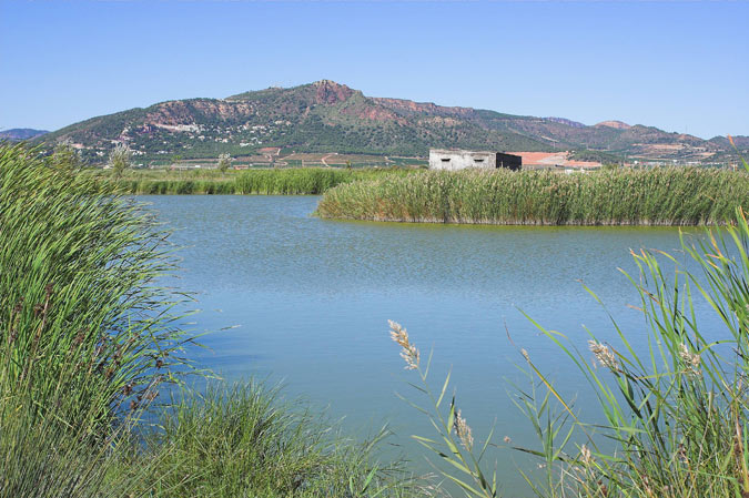 Marjal del Moro i Turó de Sagunt.