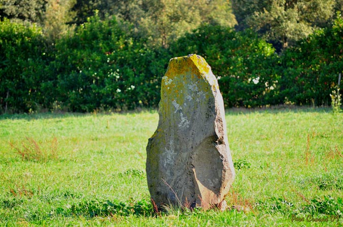 Menhir pedra del diable a Sta. Pau