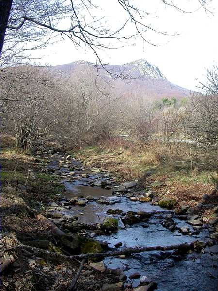 Aires del Montseny