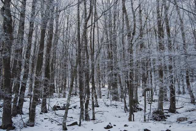 Santa Fe al desembre