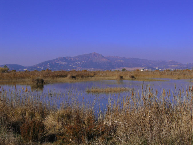 Aiguamoll i Serra Calderona