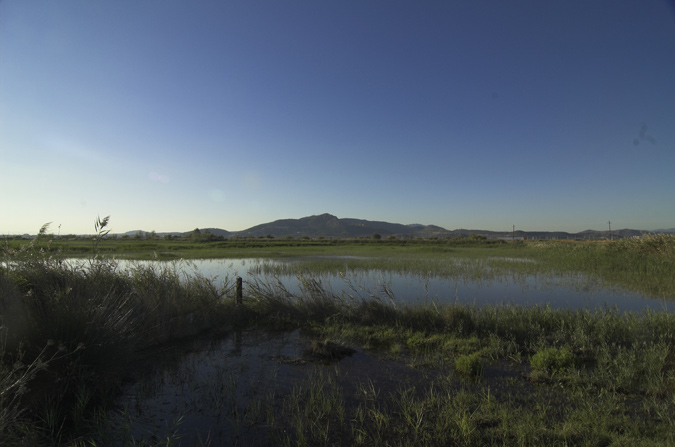 Marjal del moro panorámica