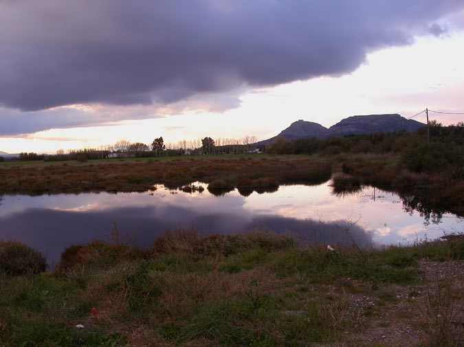 Nit als Aiguamolls de La Platera, Estartit