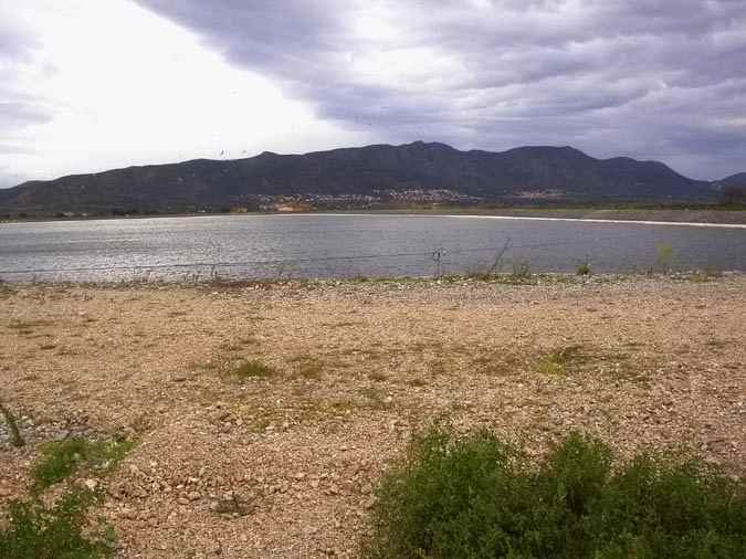 Bassa Can Serra, Pedret, Alt Empordà