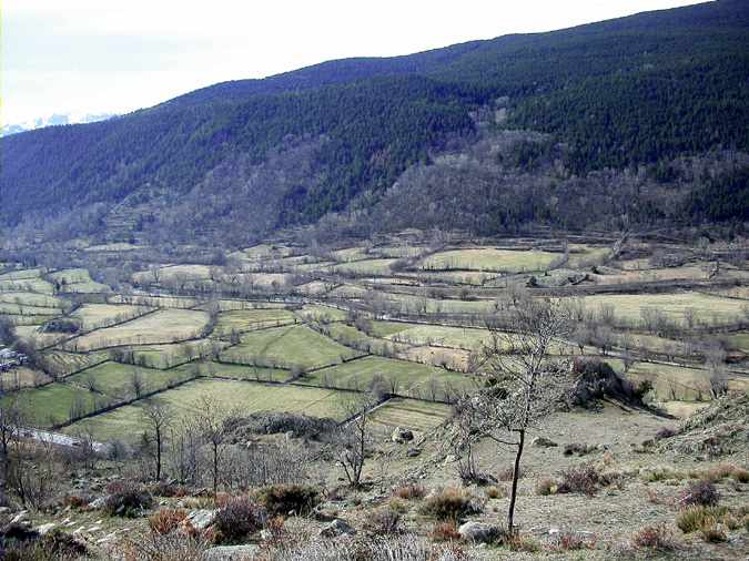 La vall del riu Querol, La Tor de Querol