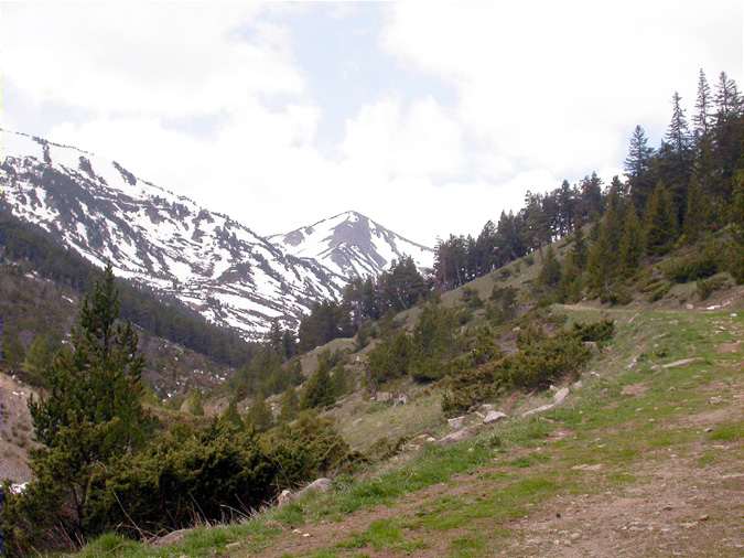 Capçalera Vall de la Galba, Esposouilles.