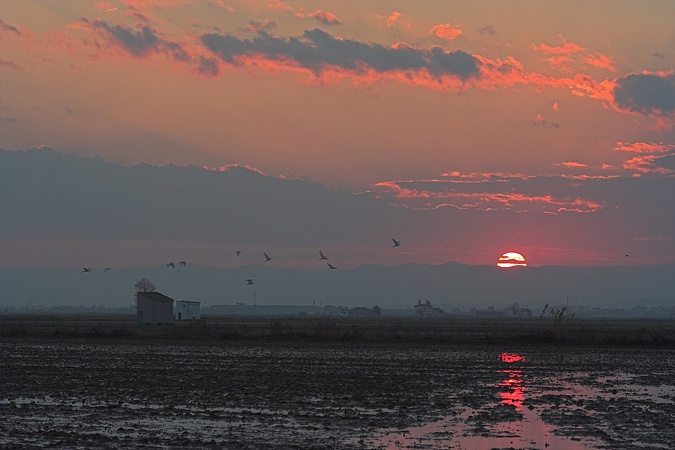 Vespre a l'Albufera.