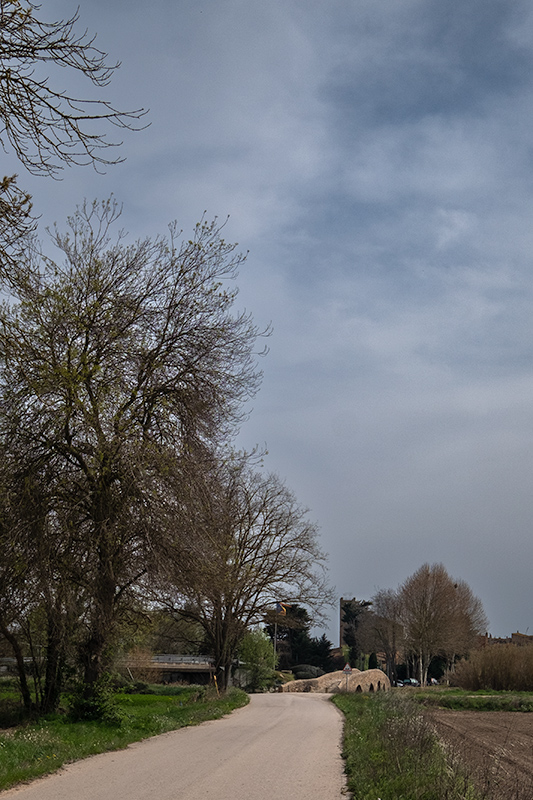 Pont Vell de Gualta