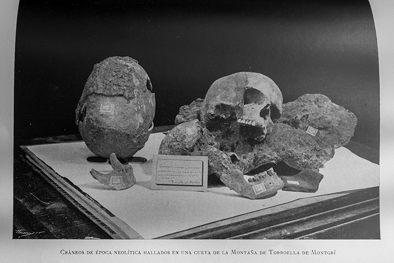 Craneos hallados en una cueva de Torroella de Montgri