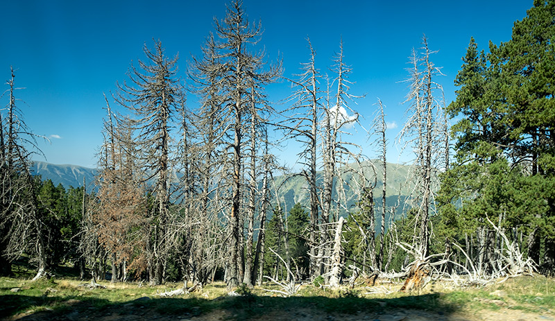 Valle de Ordesa