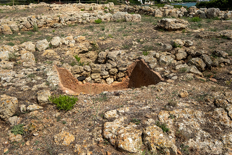 Basilica Paleo Cristiano