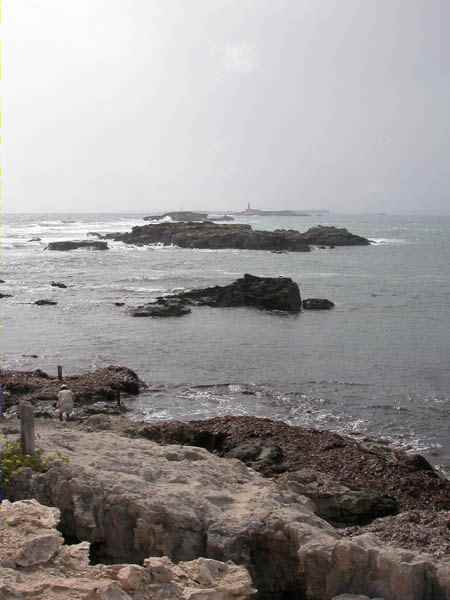 Punta de sa Torre ses Portes. Ibiza