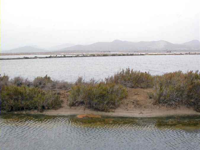 Las Salinas de Ibiza, Sant Francesc de S'Estany