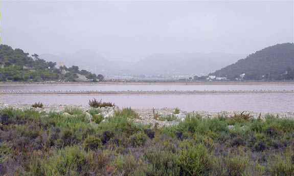 Las Salinas de Ibiza desde el Parking de la Reserva