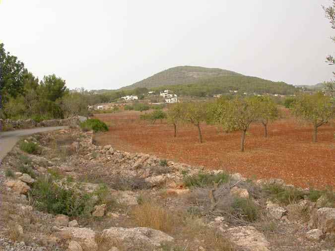 Pla de Corona, casas ibicencas, Ibiza