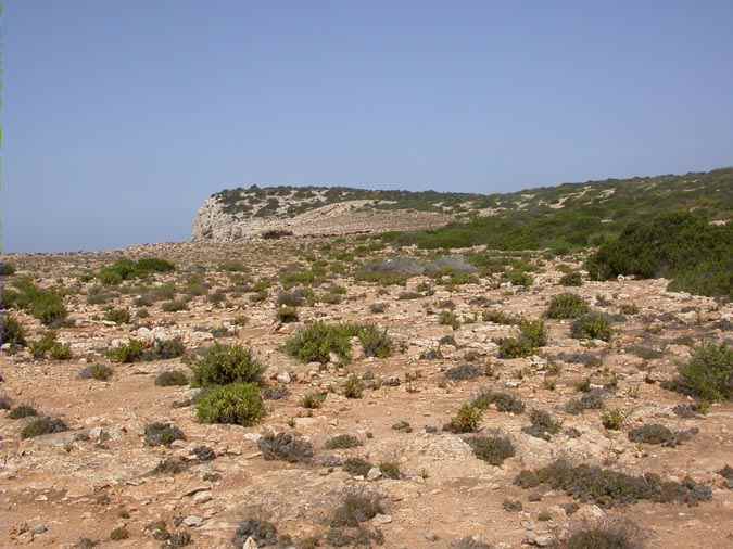 Paisaje del interior de la Isla Cunillera