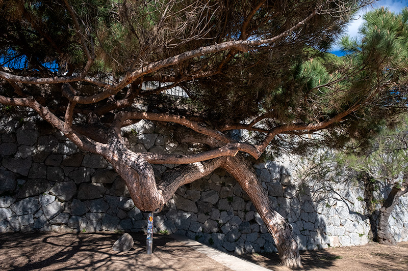 S'Agarò. Camí de ronda