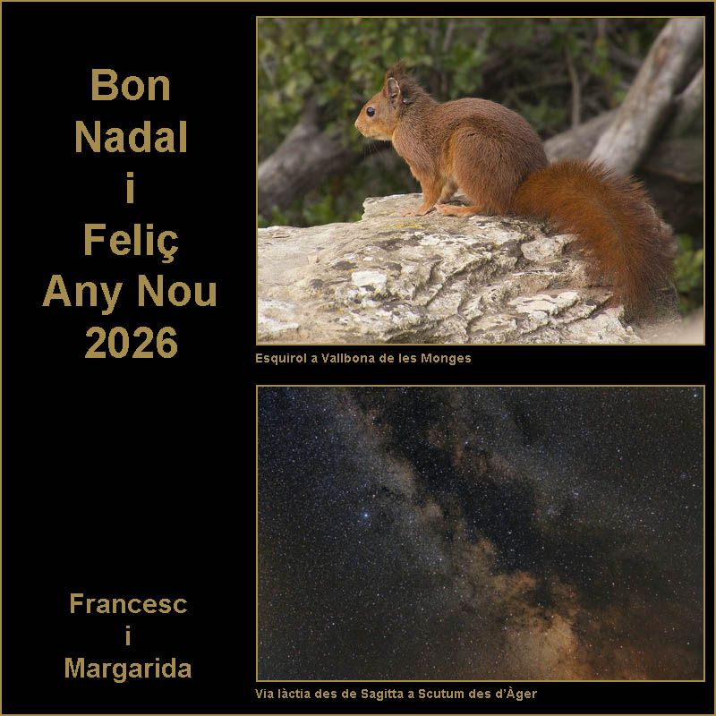 Molt Bones Festes !!!