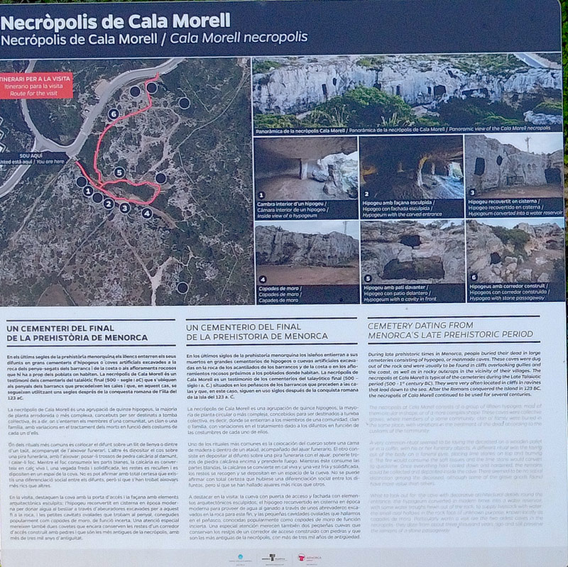 Cartell Necropolis de Cala Morell 01d32