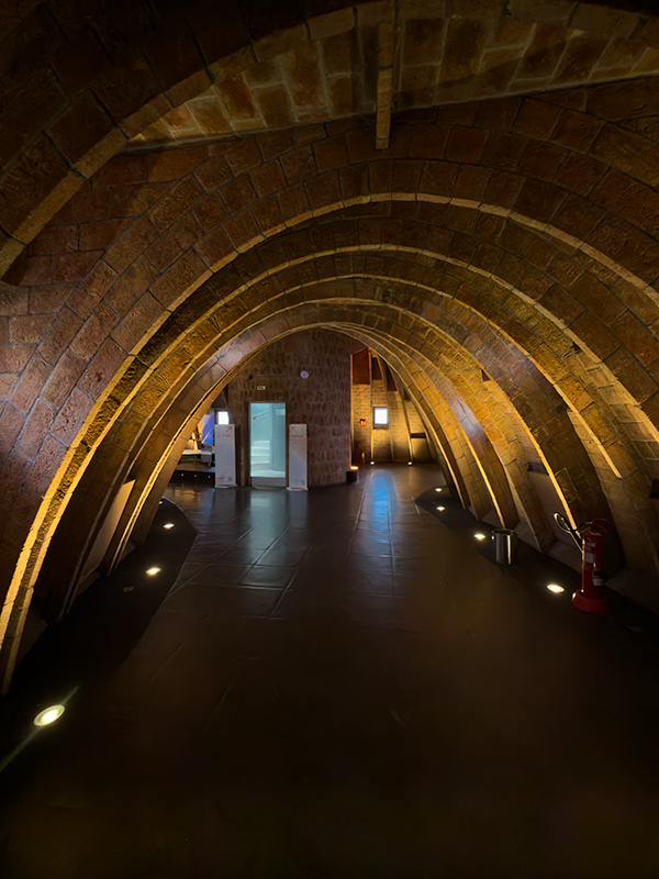 Passejant per "La Pedrera" i/o casa Millà.