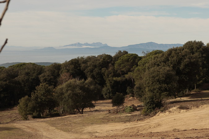 Montserrat i Sant Llorenç del Munt