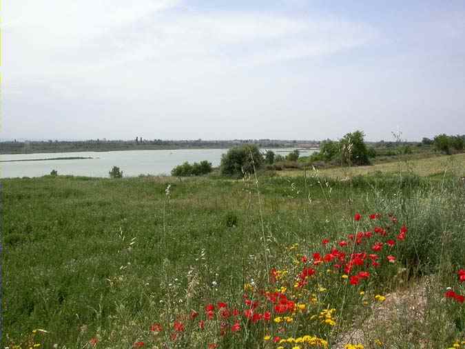 Llac d'Ivars i Vilasana