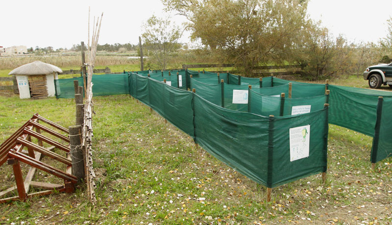 Activitats per a que els menuts coneguin la fauna del delta