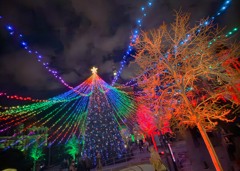Passejant per l'Hospital de Sant Pau