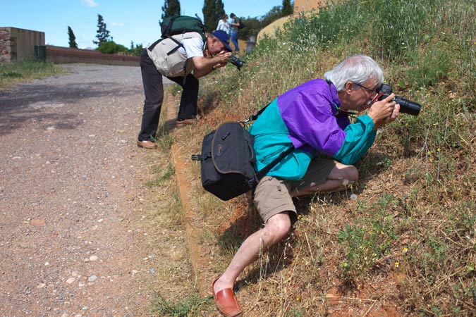 Aprofitant el temps.