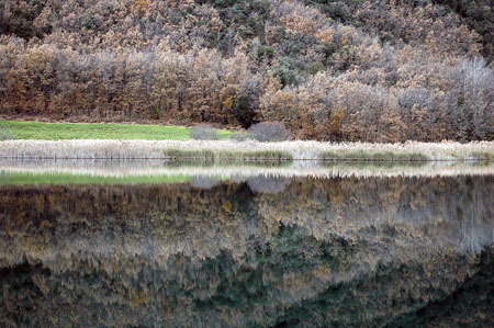 Estany de Montcortes-Reflexes