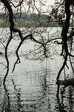 Llac de Banyoles