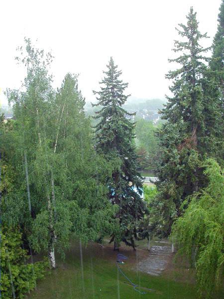 Pluja al jardí d'Enveitg