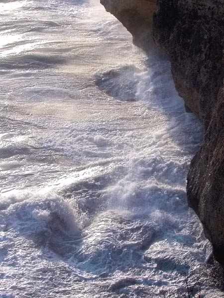 Natura salvatge, Cap de la Barra (Torredembarra)