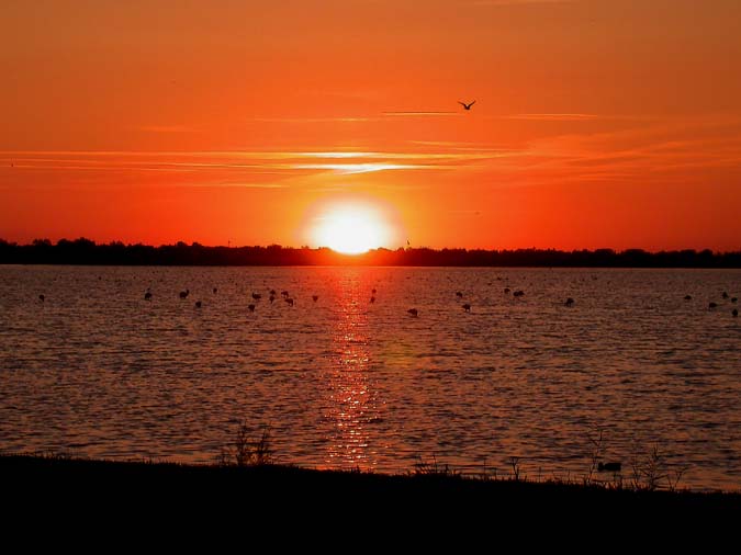 Posta de sol, maresmes de Saintes Maries de la Mer, Camarga