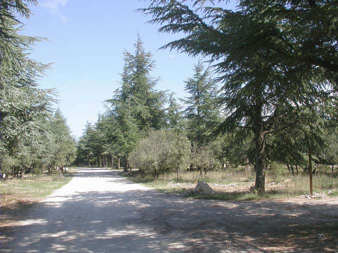 Parking de la forêt des cèdres, Crêtes du Petit Luberon