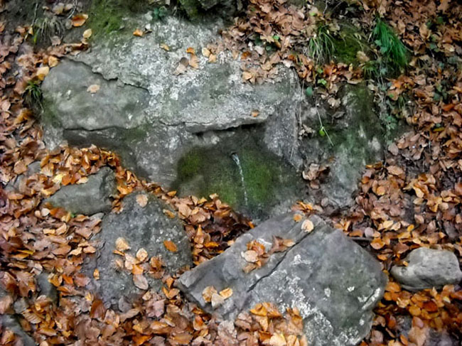 Font de la Grevolosa