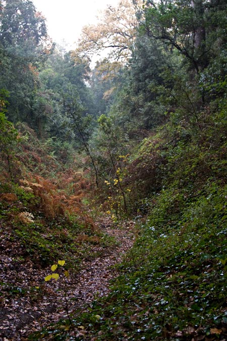 Font de la Mansa