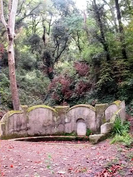 Font Groga, Collserola