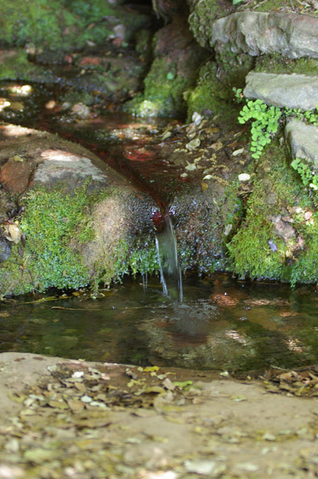 Font del Llor-Sant Llorenc de Munt-Vall D'Horta