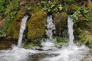 Les Fonts. Serra de l'Obac