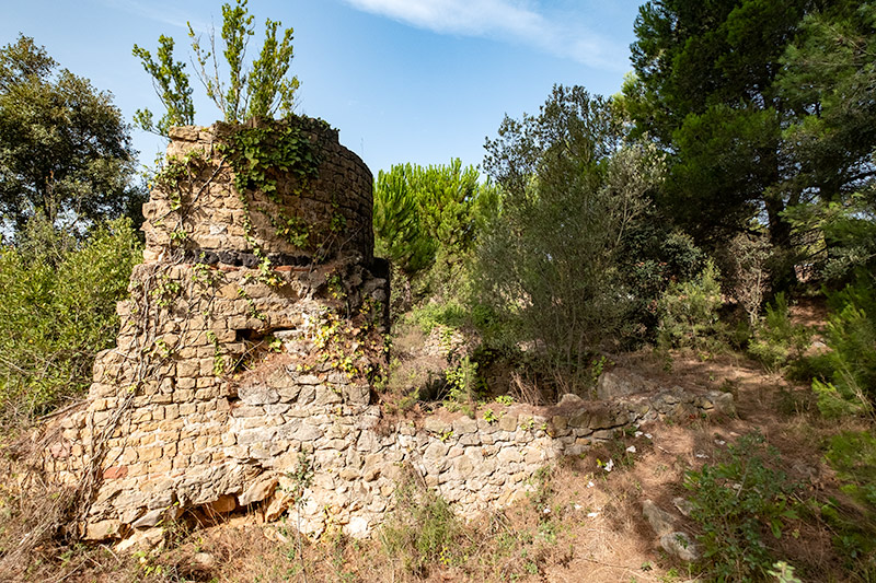 Església de Sant Vicenç.