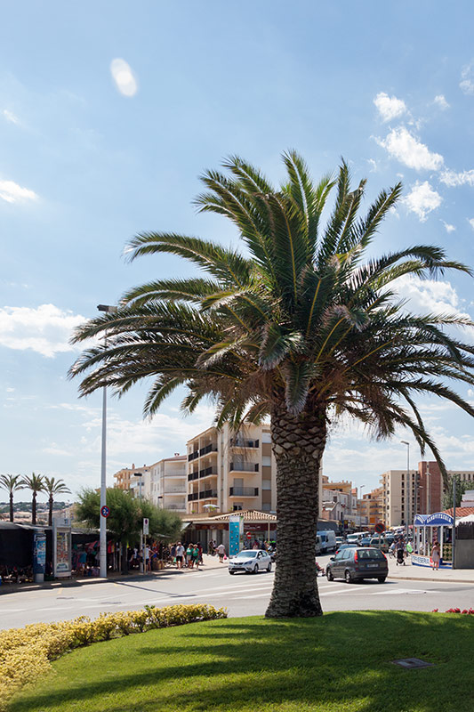 L'Escala i el Carrilet