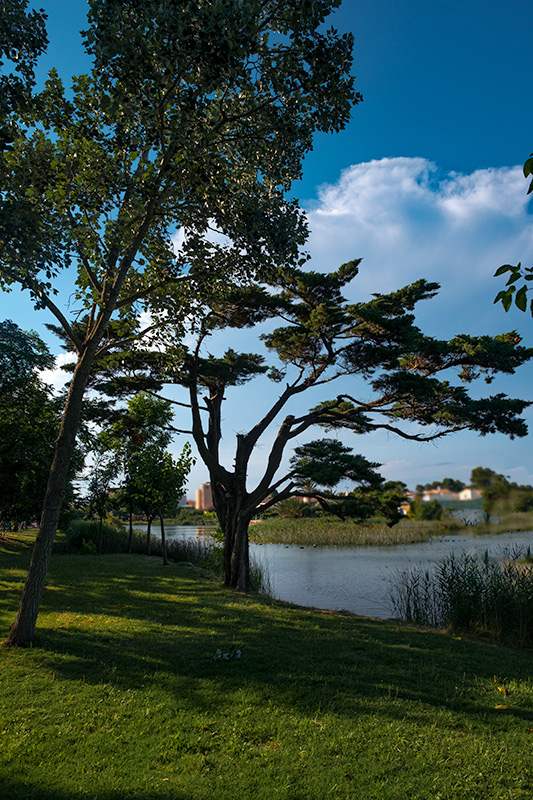 Llac "de la Poma"