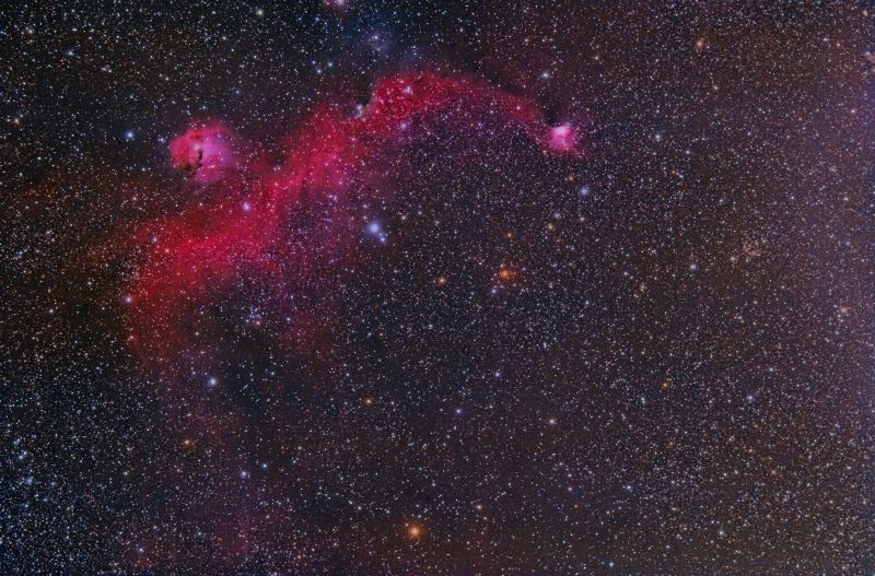Nebulosa Gum1 i altres objectes