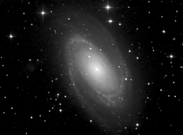 M81