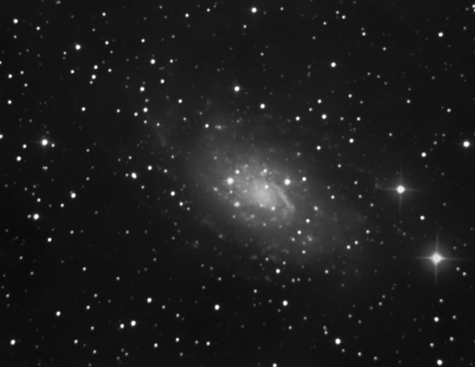 Galàxia espiral NGC2403